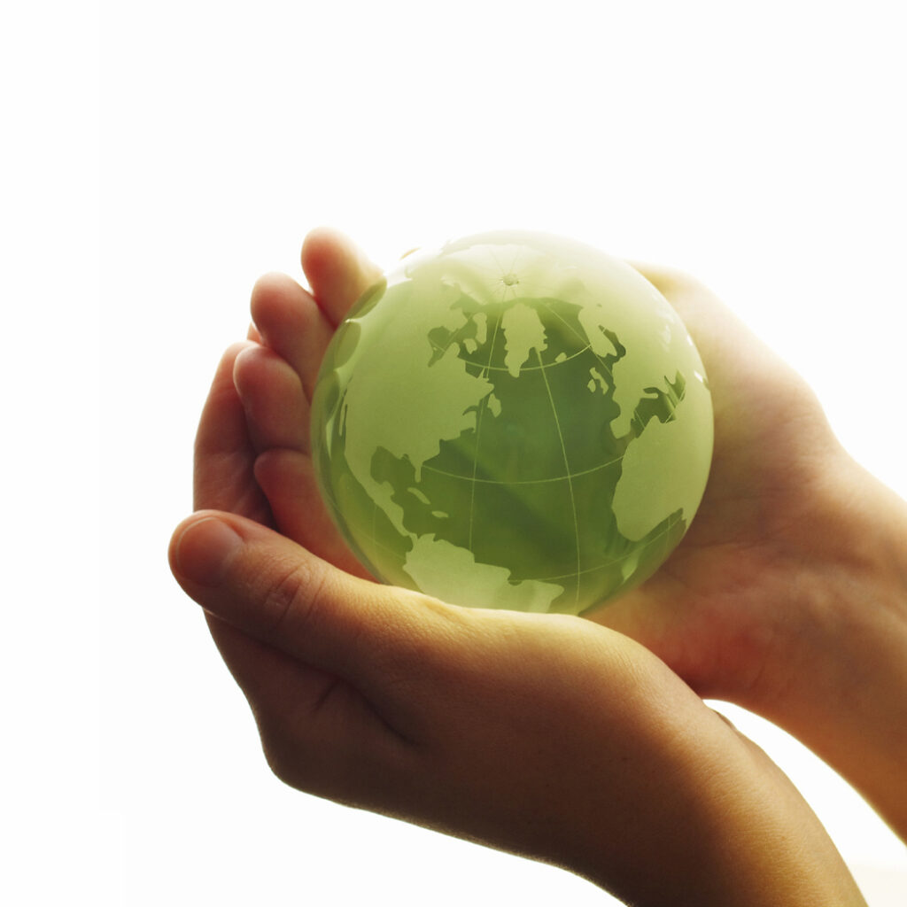 Contribution to the World